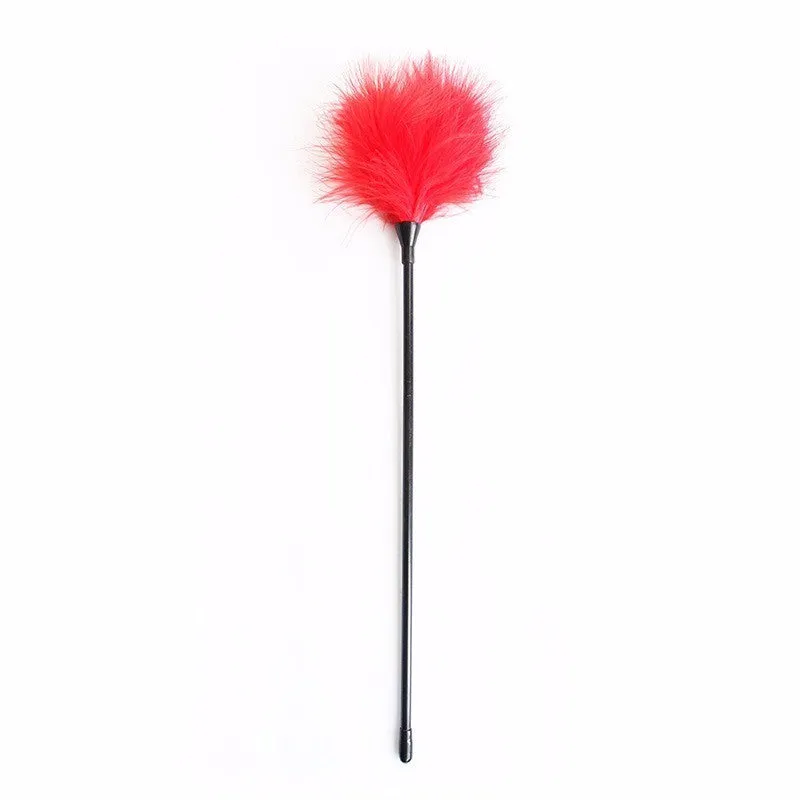 13892 1b-017 Látigo de plumas