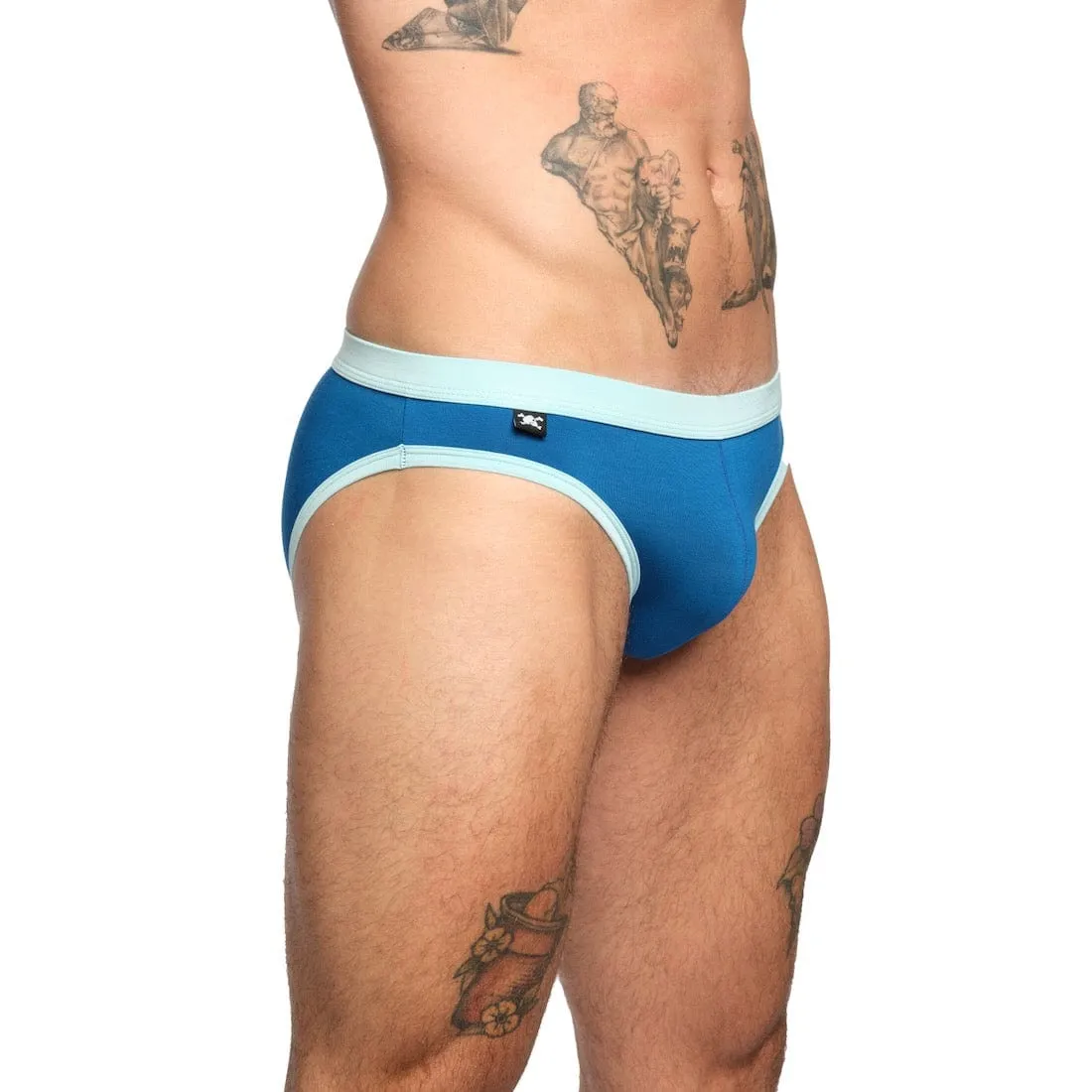 Just The Bones Cloud Brief Blue